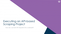 Executing an API Project